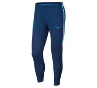 Nike Herren FCB M NK Dry SQD KP Pants, Coastal Blue/Vivid Sky/Equator, L
