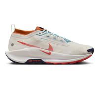 Nike Pegasus Trail 5 GORE-TEX wasserdichter Traillaufschuh (Herren) - Grau 45 FQ0908-003