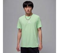 NIKE Herren Shirt JUMPMAN DF SS CREW (CW5190) S VAPOR GREEN/WHITE