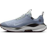 Nike InfinityRN 4 Gore-TEX Wasserdichter Herren Straßenlaufschuh, Ashen Slate/Football Grey-Light Pumice, 45 EU