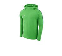 Nike Jungen Dry Academy18 Football Hoodie Pullover,Grün (Light Green Spark/Pine Green/Pine Green/Wh), XS