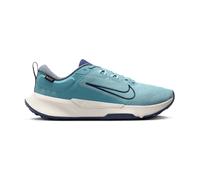 Nike Traillaufschuh Juniper Trail 2 Gore-Tex Wasserdichter Traillaufschuh Für Herren, Denim Turq/Midnight Navy-Glacier Blue, HM9734-402, 43 EU (9.5 US)