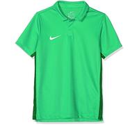 Nike Kinder Dry Academy18 Football Polo Shirt, Grün (Light Spark/Pine Green/White/361), Gr. XS