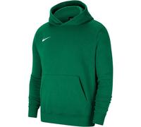 NIKE Kinder Kapuzensweat Y NK FLC PARK20 PO HOODIE (CW6896) L PINE GREEN/WHITE