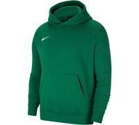 Nike Unisex Y Nk Flc Park20 Po Hoodie Kapuzenpullover, Pine Green/White, XL 158-170 EU