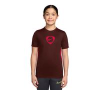 Nike Kinder T-Shirt Dri-FIT Academy+ IO7318-658 147-158 Mystic Dates/Bright Crimson