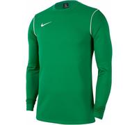 Nike Park 20 Sweatshirt Kids Sweatshirt grün 128