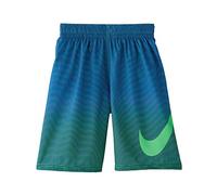 NIKE Lbf8 Nessa785 Badeanzug für Kinder