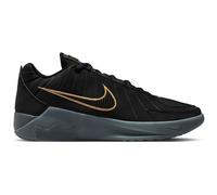 Nike LeBron Witness IX 40 Schwarz/Grau