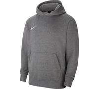 Nike Park 20 Hoodie Kinder - grau 158-170