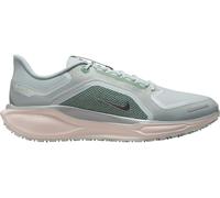 Nike Pegasus 41 GORE-TEX Laufschuhe 44 grau