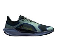 Nike Pegasus 41 Gtx | grün | Herren | 42,5 | FQ1356-006 42,5