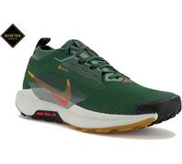 Nike Pegasus Trail 5 Gore-Tex Herren Laufschuhe Herren 41