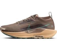 NIKE Pegasus Trail 5 Gore-TEX Mink Brown/Cannon-ORANGE Chalk 40.5 EU