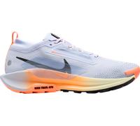 Nike Pegasus Trail 5 GORE-TEX Trail-Schuhe 41 grau