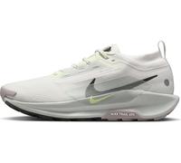Nike Pegasus Trail 5 Gore-TEX wasserdichter Herren Traillaufschuh, Summit White/Sequoia-Light Silver, 39 EU