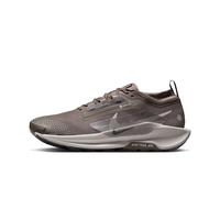 NIKE Pegasus Trail 5 Gore-Tex Wasserdichter Traillaufschuh Für Herren, Ironstone/College Grey-Velvet Brown, FQ0908-012, 49.5 EU (15 US)