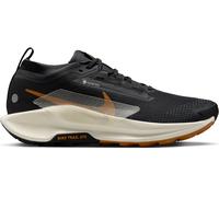 Trail-Schuhe Nike Pegasus Trail 5 GORE-TEX 197859147311 Größe 43 EU