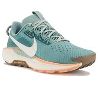 Trail-Schuhe Nike Pegasus Trail 5 198481472574 Größe 37,5 EU