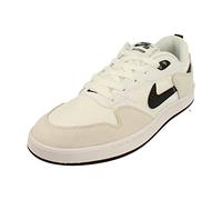 Nike SB Alleyoop Herren Trainers CJ0882 Sneakers Schuhe (UK 8.5 US 9.5 EU 43, White Black White 100)