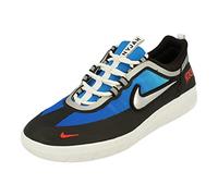 NIKE SB Nyjah Free 2 PRM Herren Trainers DC9104 Sneakers Schuhe (UK 6 US 6.5 EU 39, Light Photo Blue metallic Silver 400)