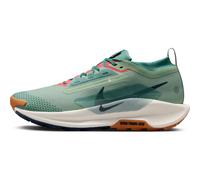 Nike Traillaufschuh Nike Pegasus Trail 5 Gore-Tex Wasserdichter Traillaufschuh Für Herren, Jade Horizon/Armory Navy-Bicoastal, FQ0908-300, 40.5 EU (7.5 US)