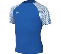 Nike Unisex Dri-fit Academy T-Shirt, Royal Blue/White/White, M EU