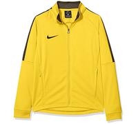 NIKE Unisex Kids Dry Academy 18 K Track Jacket