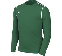 Nike Unisex Y Nk Df Park20 Crew Top Sweatshirt, Pine Green/White/White, M EU