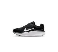 Nike Winflo 11 Straßenlaufschuh für Herren, FJ9509