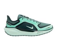 Nike - Women's Pegasus 41 GTX Road Running Shoes - Runningschuhe, Gr. 38.5, bunt (Cannon/BleachedTurq/Barely)
