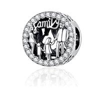 NINGAN Familie Charme-Charms-Anhänger 925 Sterling Silber Charm Bead für Chamilia und europäische Armbänder und Halsketten (Familie Charme)