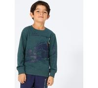 NKD Kinder-Jungen-Sweatshirt mit Rennwagen-Motiv dark-green 98/104
