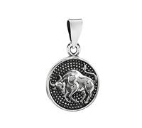 NKlaus 14,7mm Kettenanhänger Stier 925 Silber Horoskop Sternzeichen Zodiak Anhänger 3565