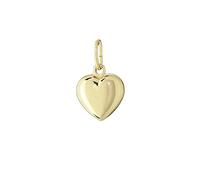 NKlaus 375 Gelb Gold Herz Anhänger Ketten Hochglanzpoliert 6,5x6,3mm Damen Mädchen 4904