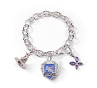 Noble Collection NN7712 - Harry Potter Lumos Ravenclaw Charm-Armband
