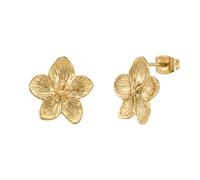 NOELANI Ohrstecker gold Damen
