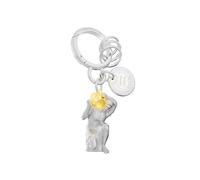O meta[l]morphose METALMORPHOSE - Schlüsselanhänger Charms Sternzeichen Wassermann - Sternbild Wassermann - Geschenk für Männer, Frauen und Kinder