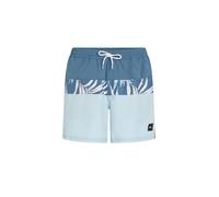 O NEILL Herren Cali Block 15 Inch Badeshorts blau XL