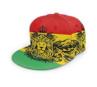 Oaieltj Unisex Baseball Cap Damen Herren Einstellbare Snapback Flat Bill Brim Baseball Cap Cool Hip Hop Hat, Reggae Rasta Flagge Löwe, One size
