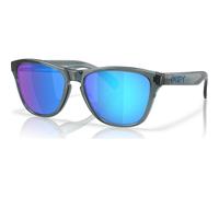 Oakley Frogskins S crystal black/sapphire polar (950805)