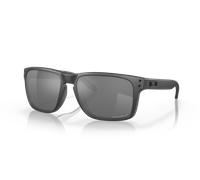 Oakley Herren Holbrook™ Xl Sonnenbrillen Steel One Size