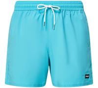 Oakley Robinson RC 16" Beachshort swimming pool blue (6HM) L