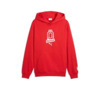 ÖFB Herrenhoodie ftbl CUlture Relaxed - rot / S