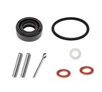 Öldichtstift-Dichtungssatz, kompatibel mit 2,5 PS und 3,5 PS Marine-Außenbordmotoren, einschließlich der Modelle 815111002 815111Q02 9515030435 26-95348