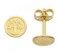 Ohrstecker Baum Lebensbaum 333 Gold Gelbgold mattiert Ohrringe