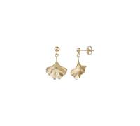 Ohrstecker Ohrringe Ginkgo Blatt in Echt 585 Gold klassische, schlichte Ohrringe Ohrschmuck Damen Schmuck Goldstecker in Gelbgold inkl. Schmucketui | JC Trauringe 8712