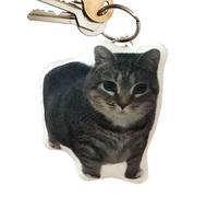 Oiia Cat Keychain, niedliche Katzen -Plüsch -Schlüsselanhänger, Cartoon Stoffed Meme -Schlüsselring für Kinder Erwachsene, leichter gefüllter Tieranhänger, Neuheit Meme Bag Charme für Katzenliebhaber
