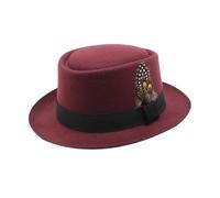 Oktoberfest Hut, Trachtenhut Herren Damen Feder, Einfarbig Moderne Oktoberfest Party Accessoires Lustig Kopfbedeckung, Unisex Filzhut Mittelalter Bayern Trachten Hut Bierhut Mit Fede Für Bierfest