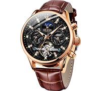 OLEVS Herrenuhr Leder Skelett Automatik Mechanisch Tourbillon Kalender Mondphase Leuchtend Wasserdicht Luxus Business Armbanduhr, Z: Schwarzes Zifferblatt und braunes Leder, Mechanisch
